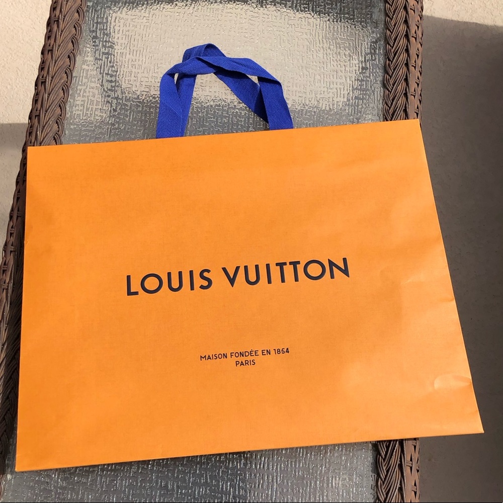 Medium Louis Vuitton Bag 15x18